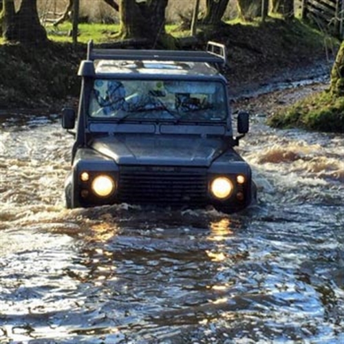 landy in water landy in water