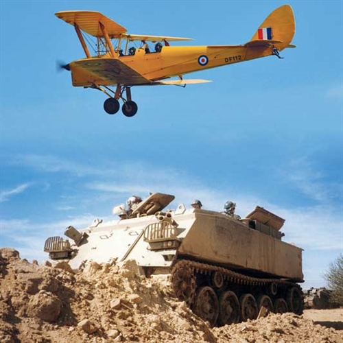 tiger and tank at Duxford tiger and tank at Duxford