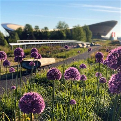Lee Valley Velo Park Lee Valley Velo Park