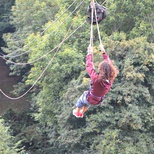 woman on zipwire woman on zipwire