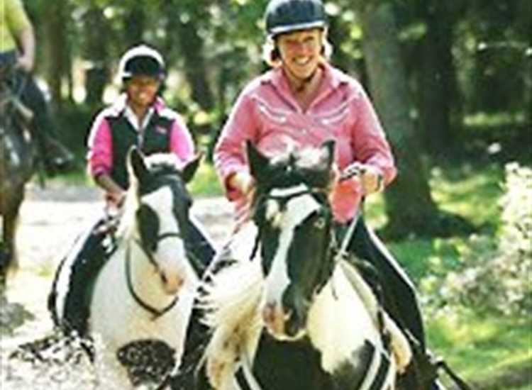 activity-breaks activity-breaks