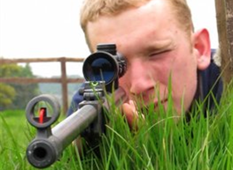 air guns air guns