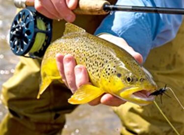 fishing experiences fishing experiences