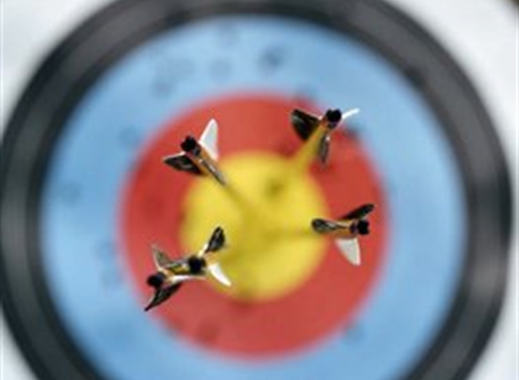 archery-lessons archery-lessons