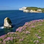 Isle Of Wight coast
