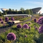 Lee Valley VeloPark Cycling Experiences in London