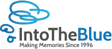 Into The Blue voucher codes Logo