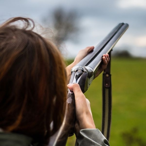 clays offer